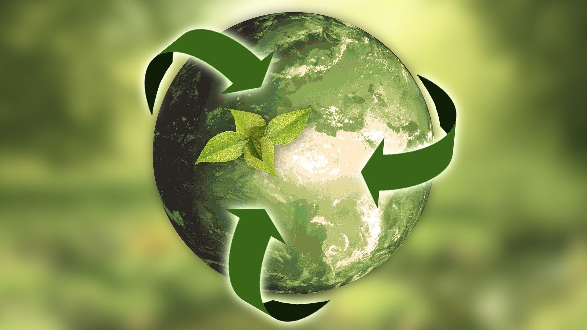 Keyvisual zum Workshop Nachhaltigkeit im Unternehmen (Bildquelle: Pixabay)